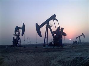 c(din)鿴Ԕ(x)Ϣ<br>(bio)}﹤I(y)CMC xΔ(sh)15557